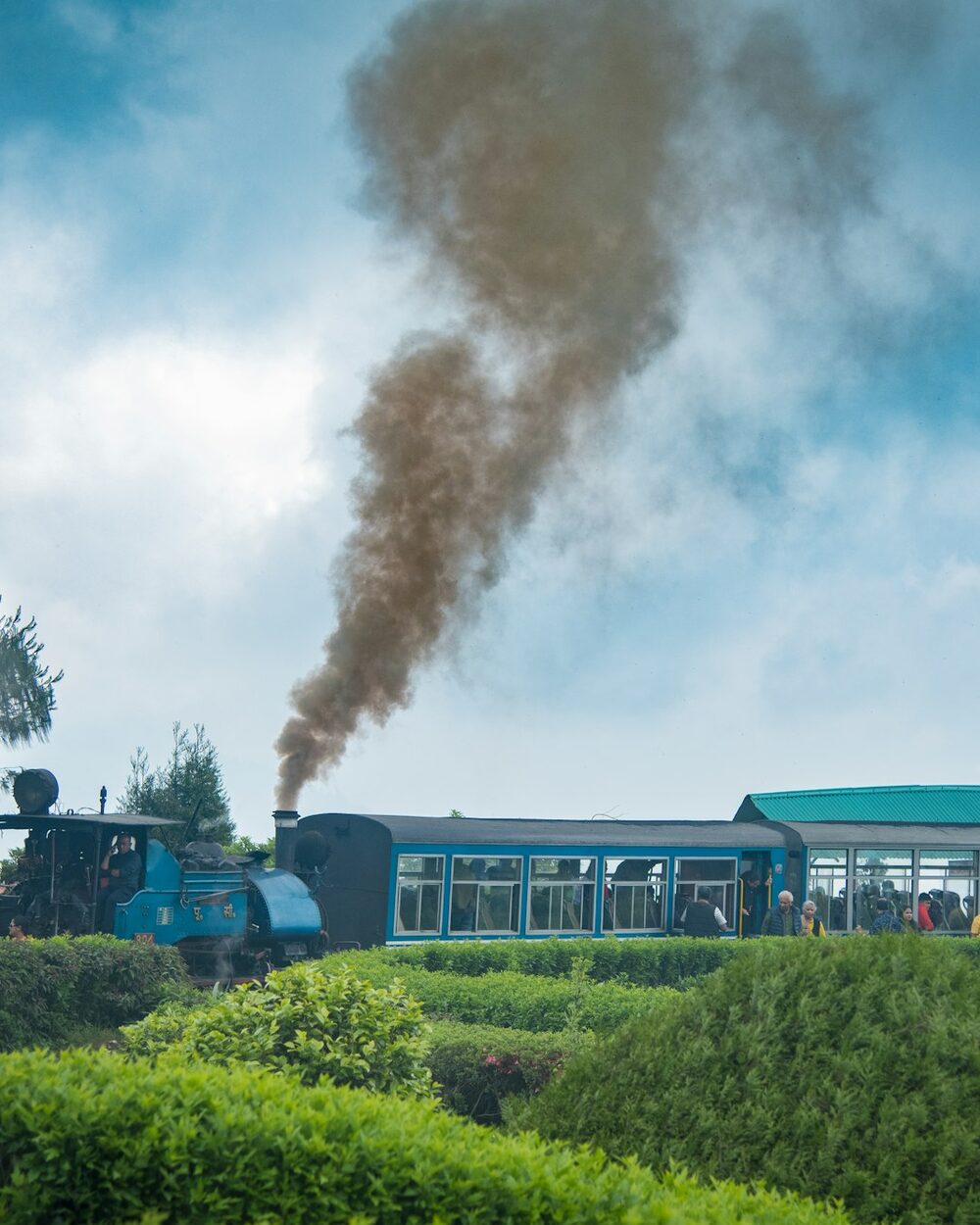 Kolejka himalajska obok plantacji herbaty w Darjeelingu